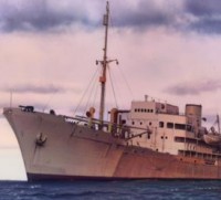 1)RAIDER MICHEL SCHIFF 28