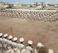 7)BACK TO THE JUNGLE